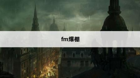 为什么爆网不能用?FM2006下载地址(图1)